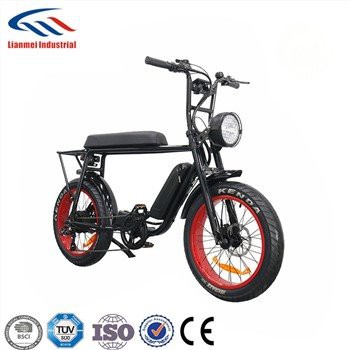 20 Inch Fat Tire Bike