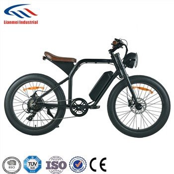 24 Inch Fat Tire Bike